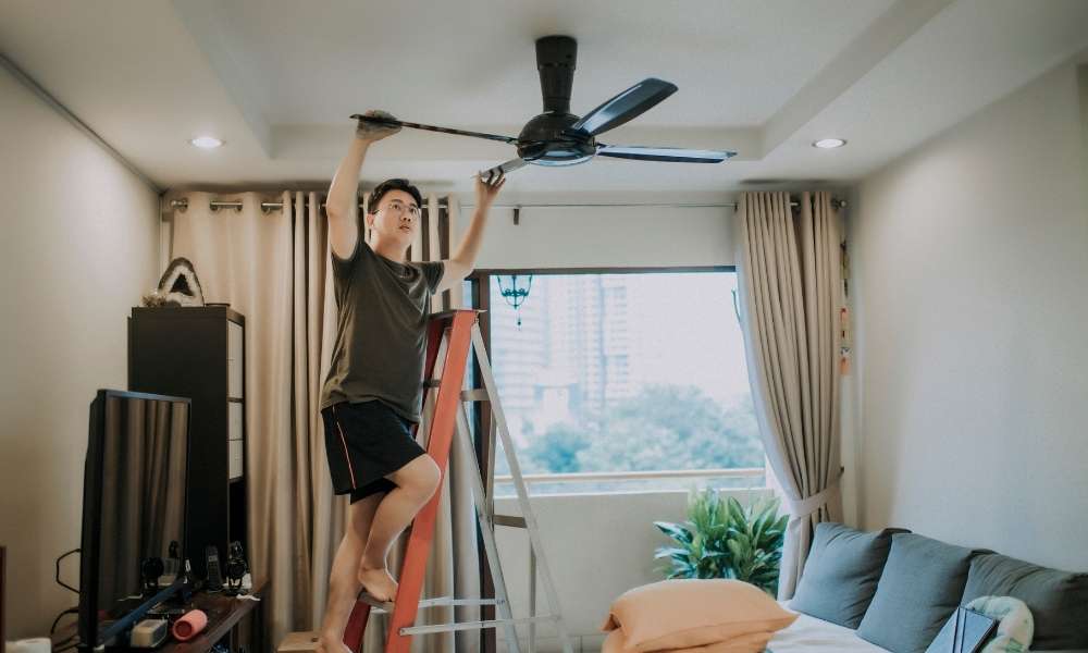 Dust the ceiling fan