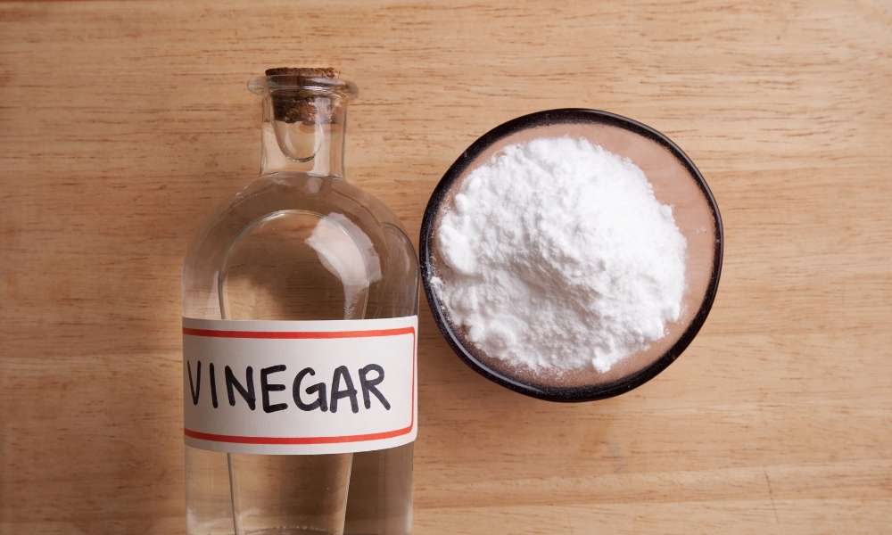 Soak The Vinegar In A Coffee Cup