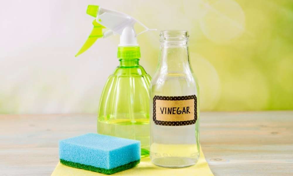 White Vinegar And Water 