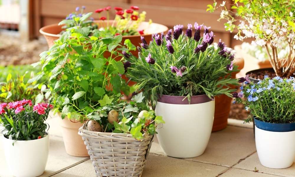 Round Flower Bed with Pots