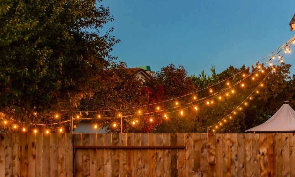 String Lights In Backyard Without Trees