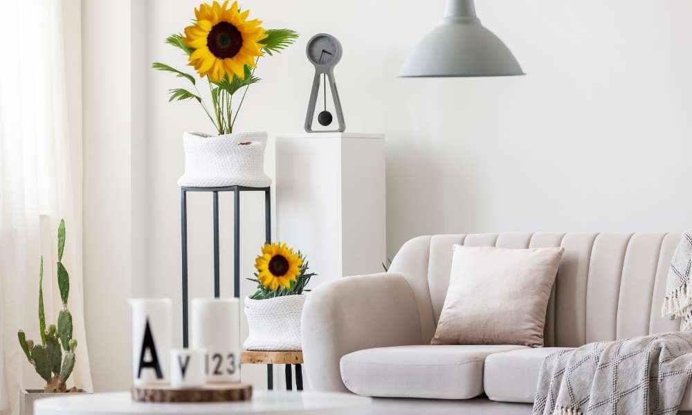  Sunflower Living Room 
