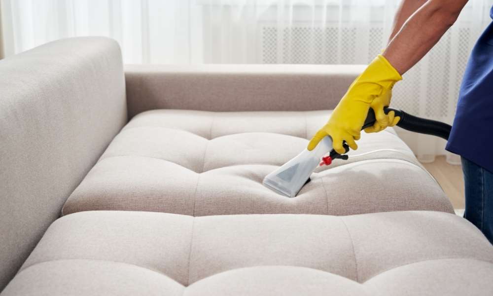 remove odors from a sofa