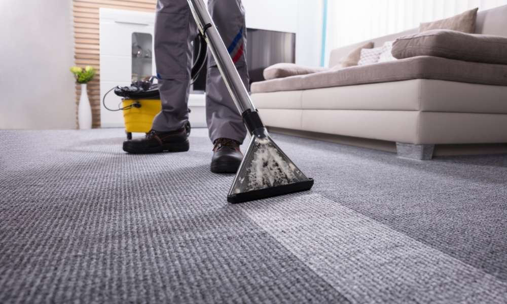 clean Area Rug With A Steam Cleaner