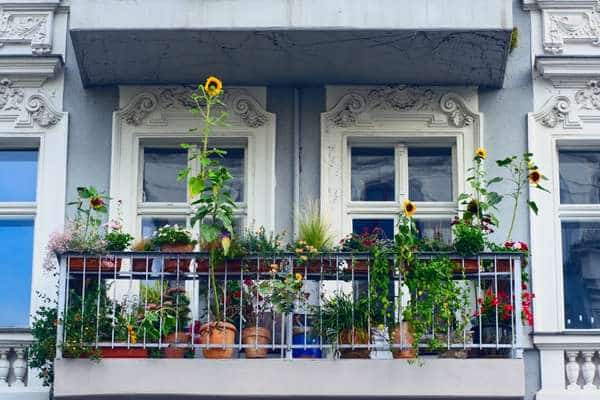 Adding plants to a balcony