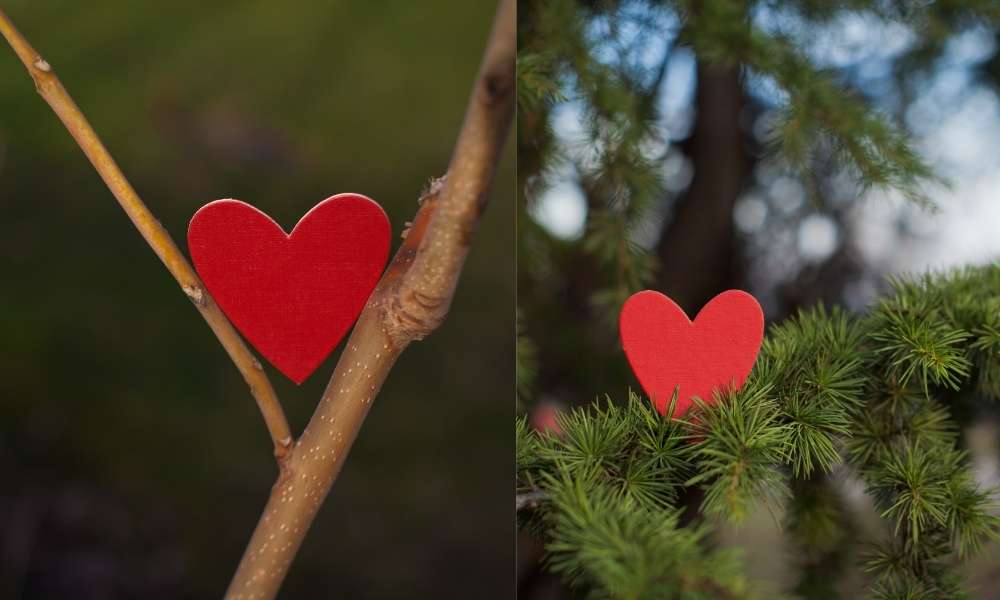 Trees for Outdoor Valentine Decoration