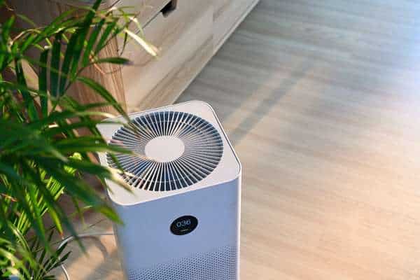 Air Purifier to Stay Comfortable All Year
