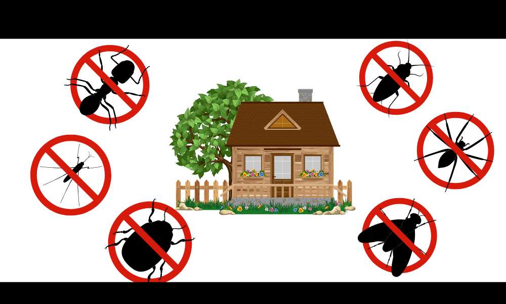 Pest Control Ideas for House