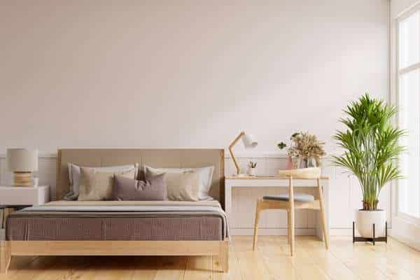 Plants for Taupe Bedroom Ideas